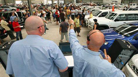 Navigating Car Auctions